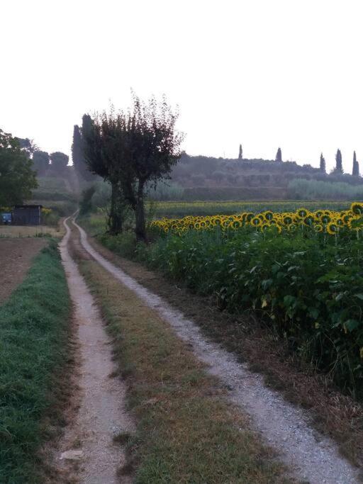 Podere Gian Battaglia Fucecchio Exteriör bild