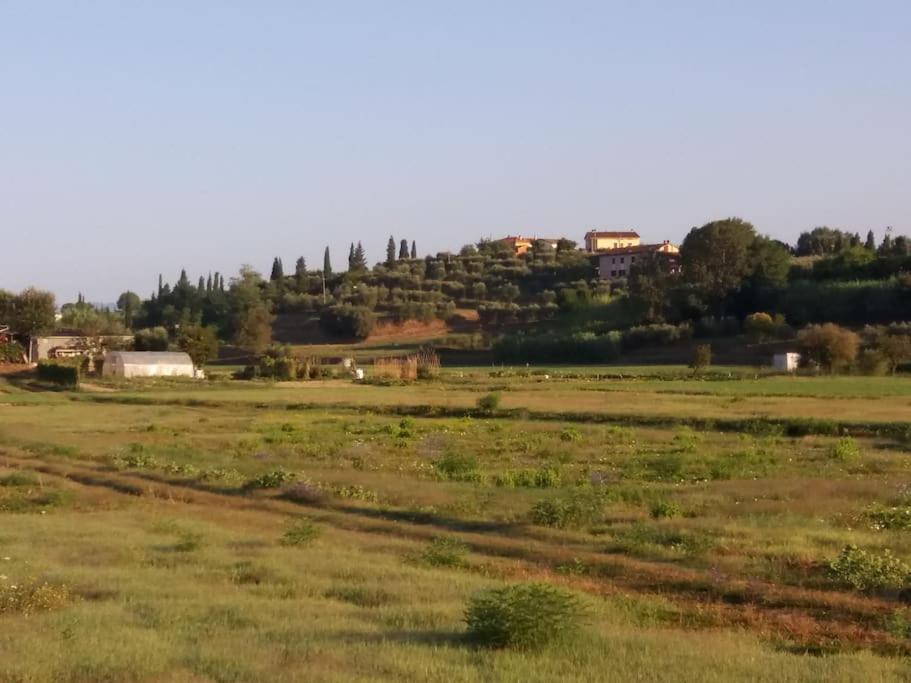 Podere Gian Battaglia Fucecchio Exteriör bild