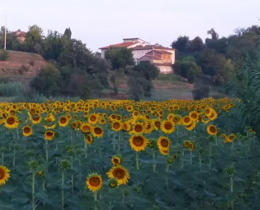 Podere Gian Battaglia Fucecchio Exteriör bild