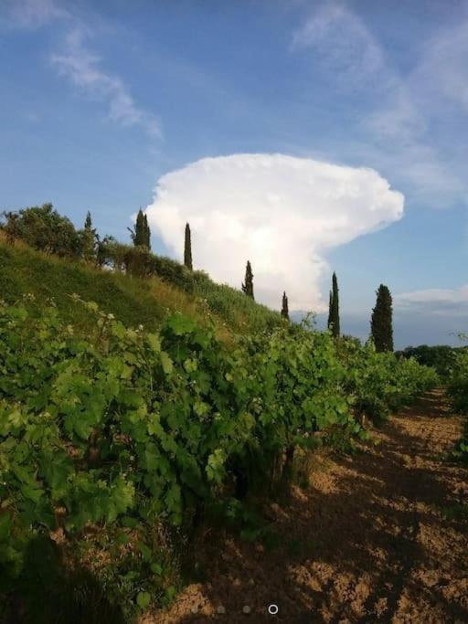 Podere Gian Battaglia Fucecchio Exteriör bild