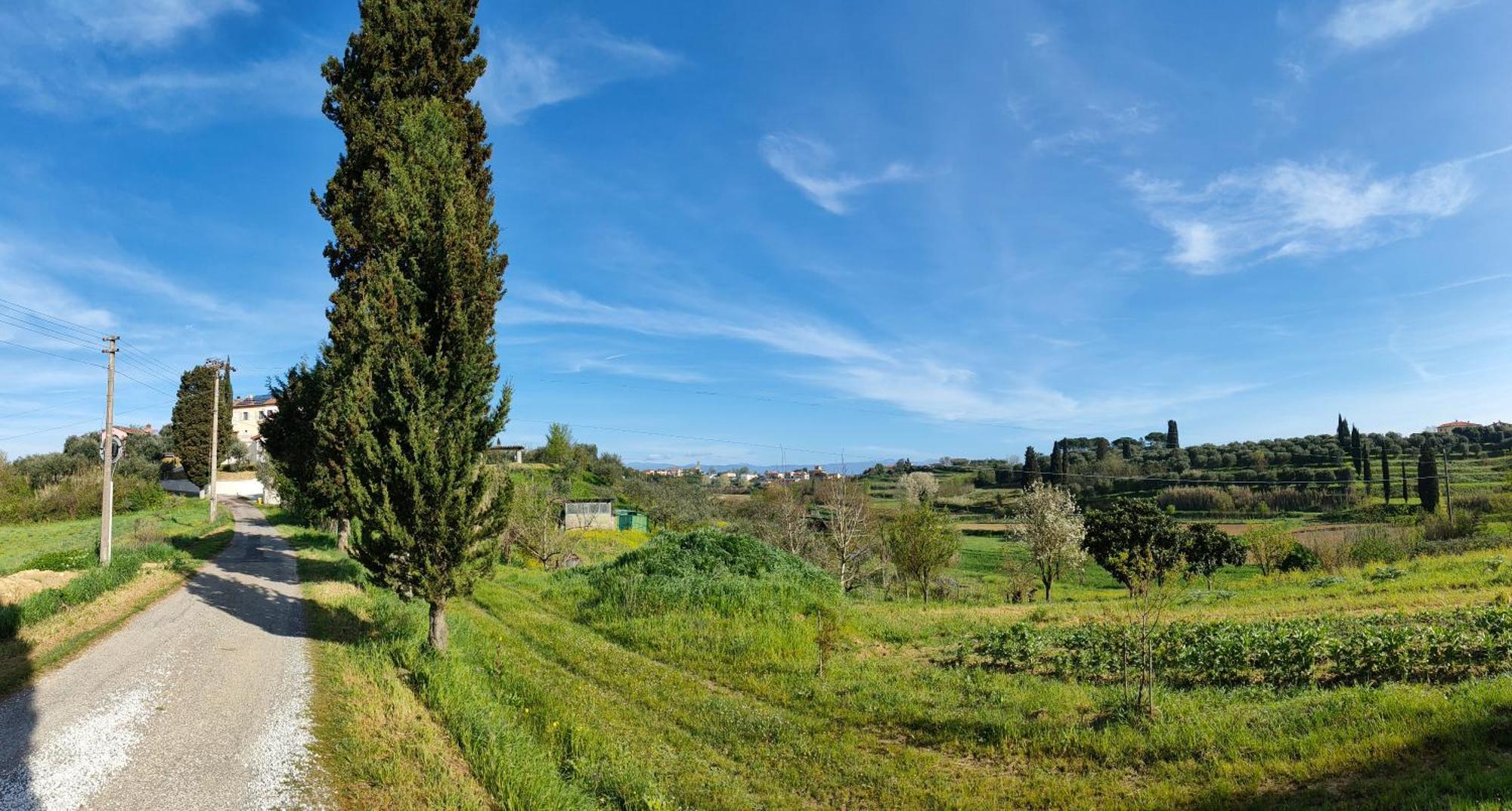 Podere Gian Battaglia Fucecchio Exteriör bild