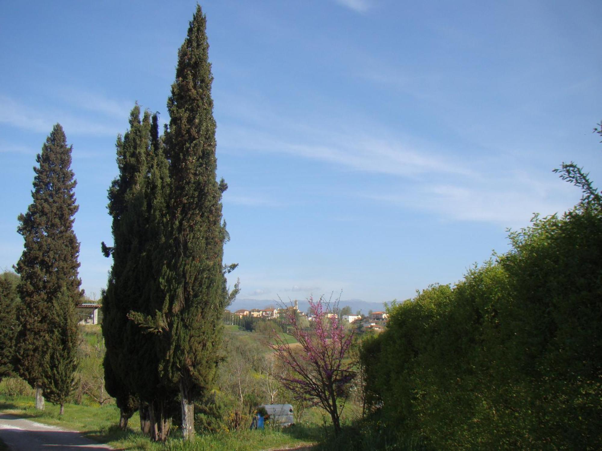 Podere Gian Battaglia Fucecchio Exteriör bild