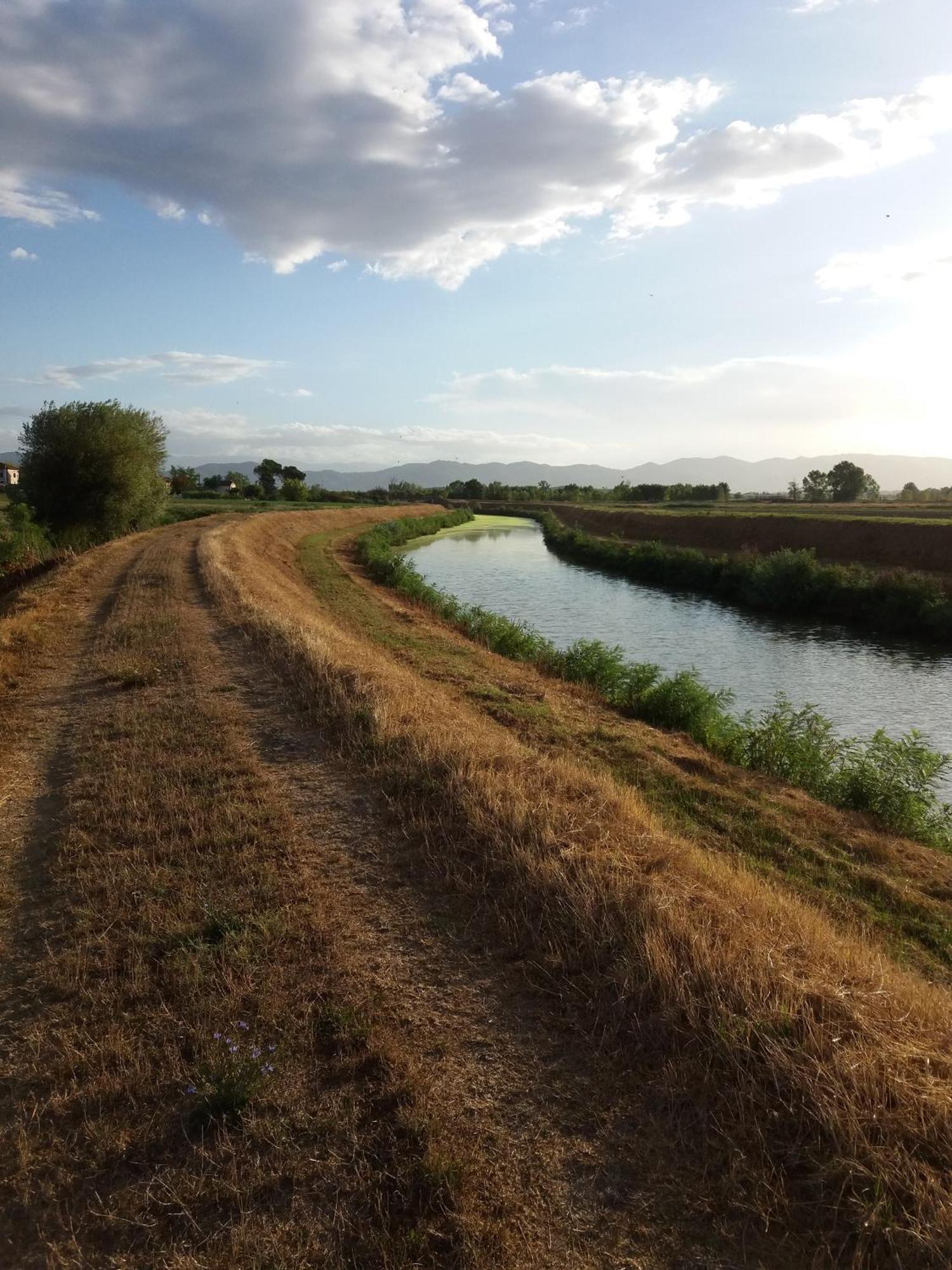 Podere Gian Battaglia Fucecchio Exteriör bild