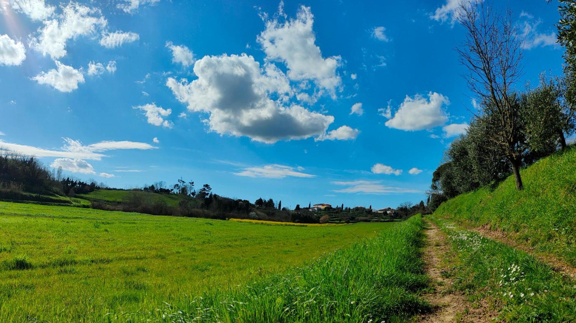 Podere Gian Battaglia Fucecchio Exteriör bild