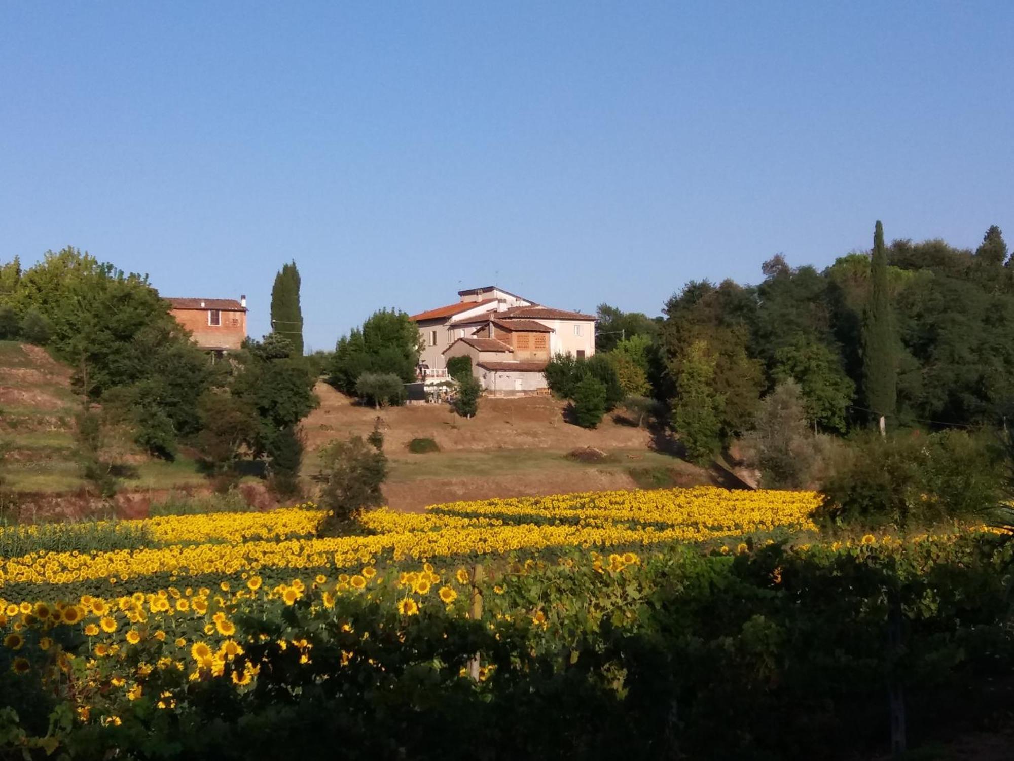 Podere Gian Battaglia Fucecchio Exteriör bild