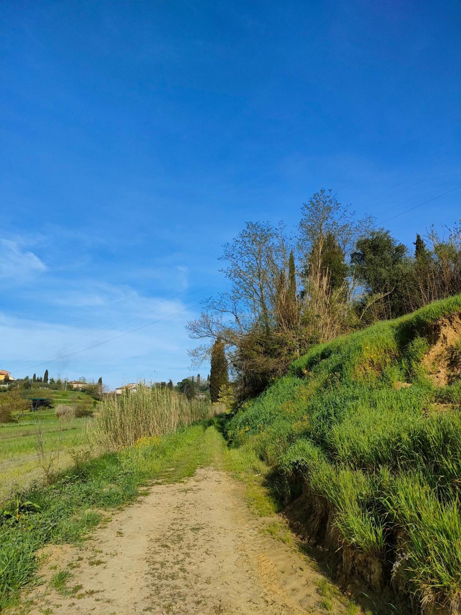 Podere Gian Battaglia Fucecchio Exteriör bild
