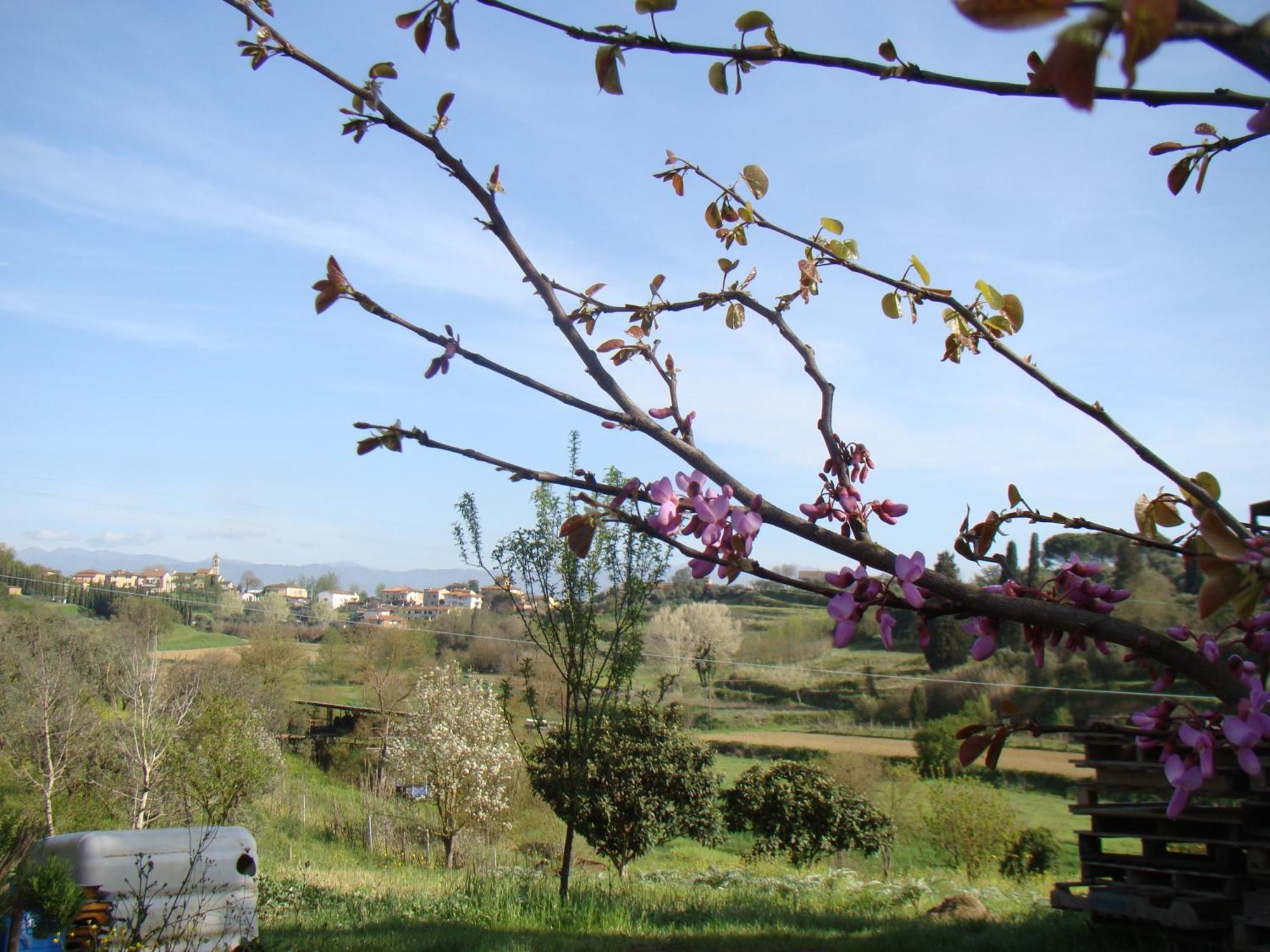Podere Gian Battaglia Fucecchio Exteriör bild