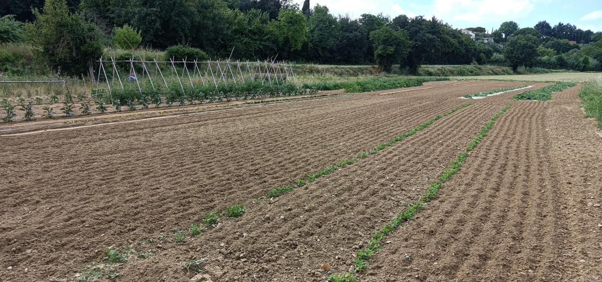 Podere Gian Battaglia Fucecchio Exteriör bild