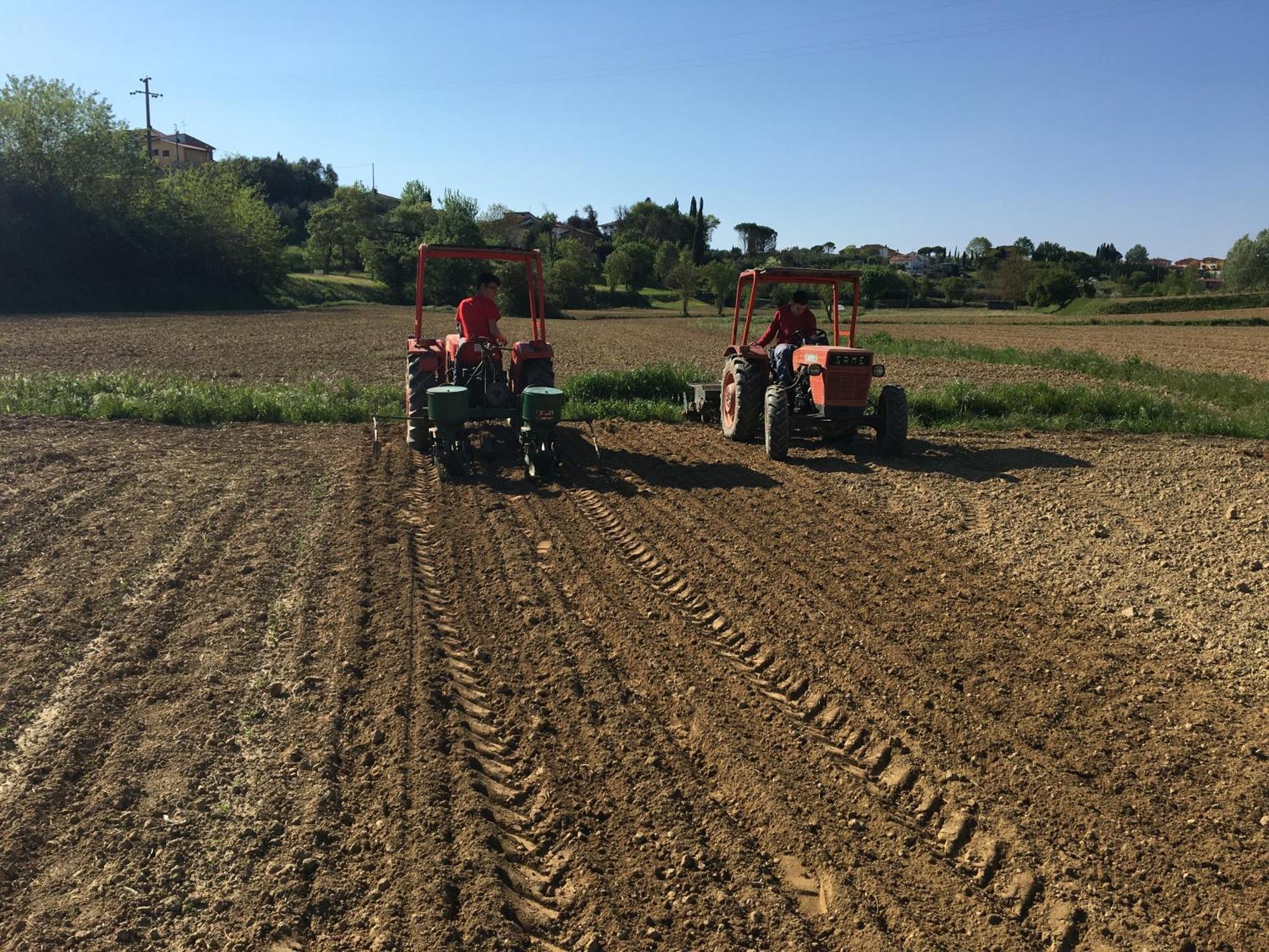 Podere Gian Battaglia Fucecchio Exteriör bild