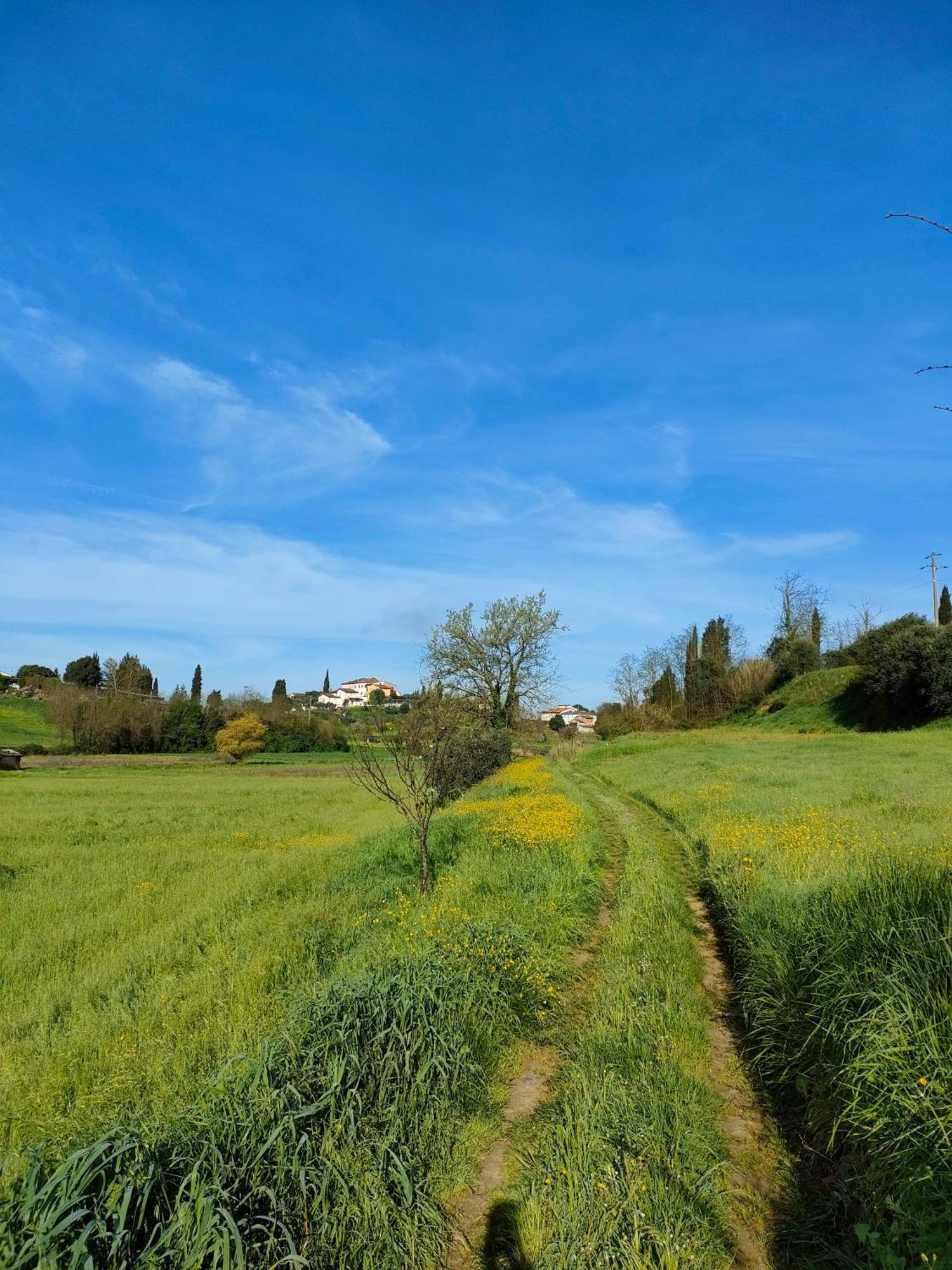 Podere Gian Battaglia Fucecchio Exteriör bild